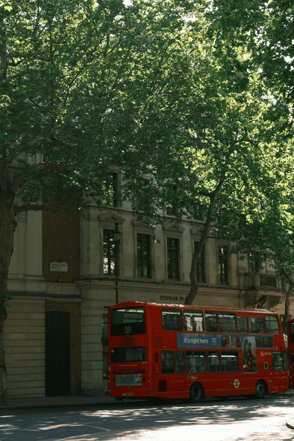 Double Decker Bracelet